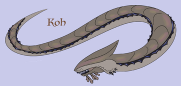 koh_ref.png